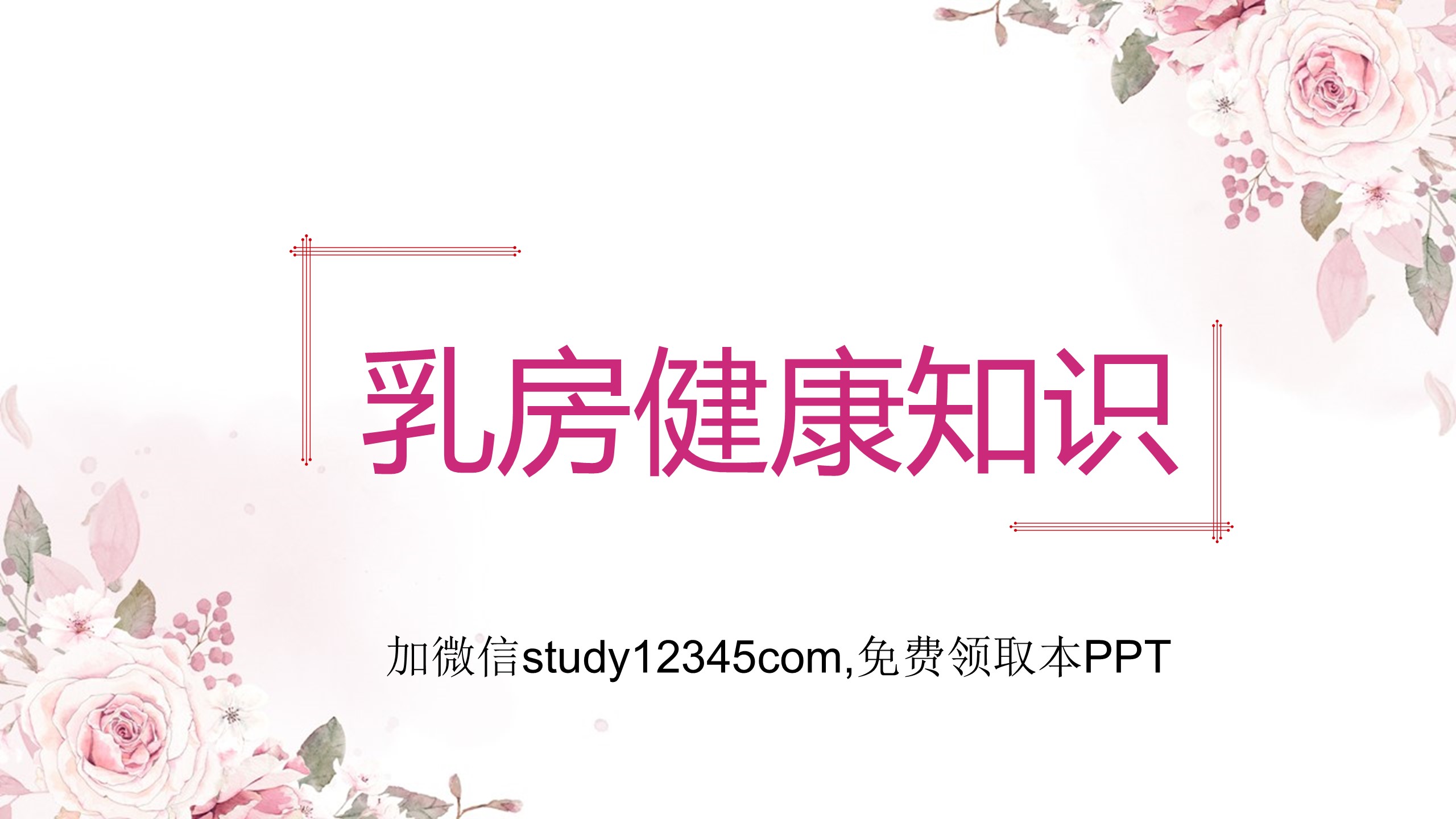 乳房健康知识PPT