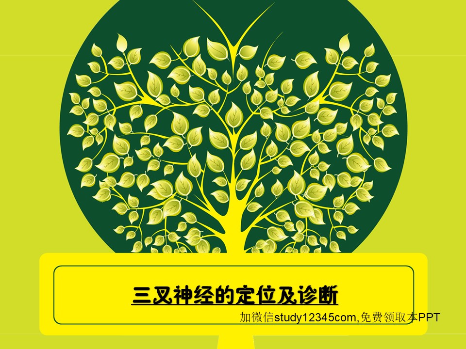 三叉神经的定位及诊断PPT