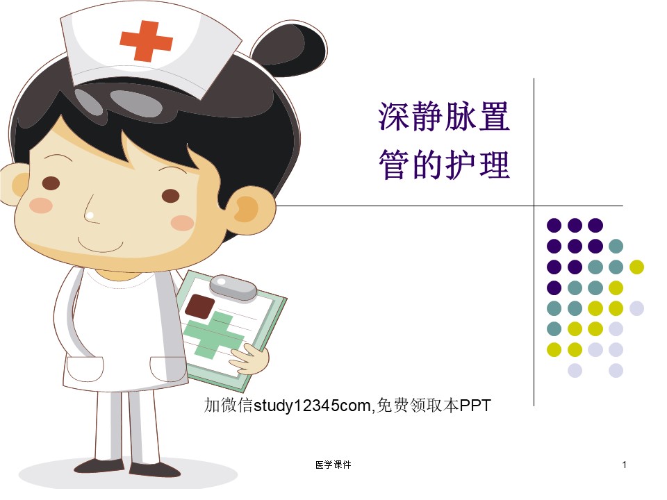深静脉置管的护理PPT