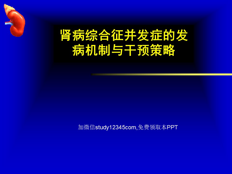 肾病综合征并发症的发病机制与干预策略PPT