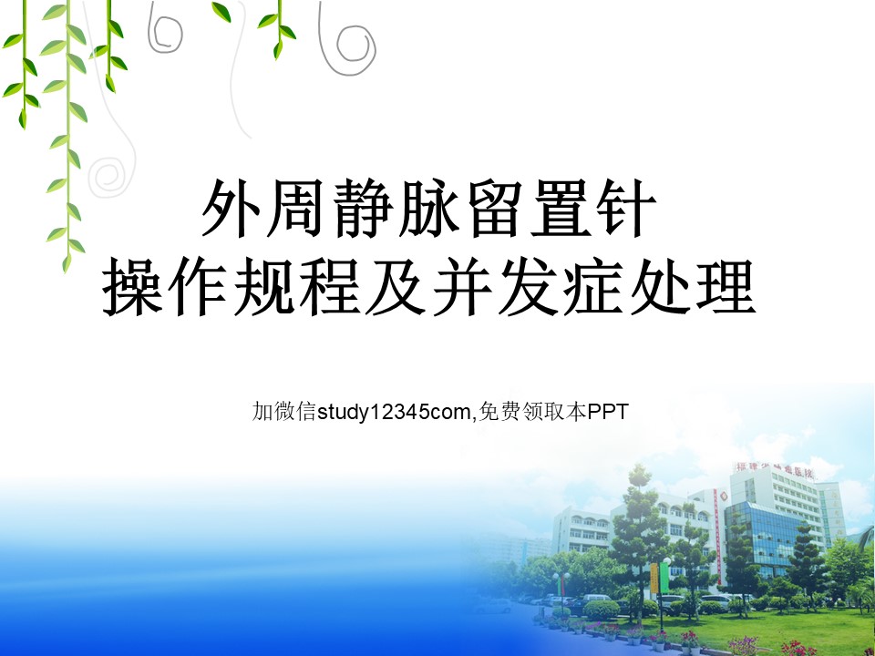 外周静脉留置针操作规程及并发症处理PPT