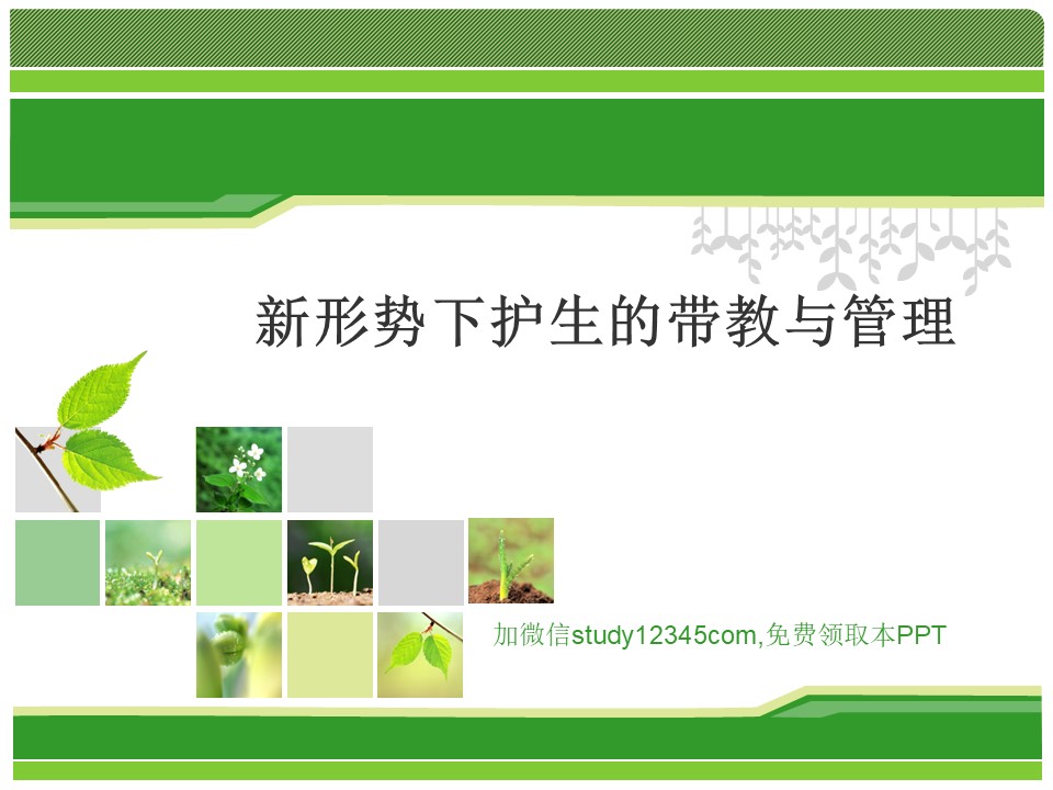 新形势下护生的带教与管理PPT