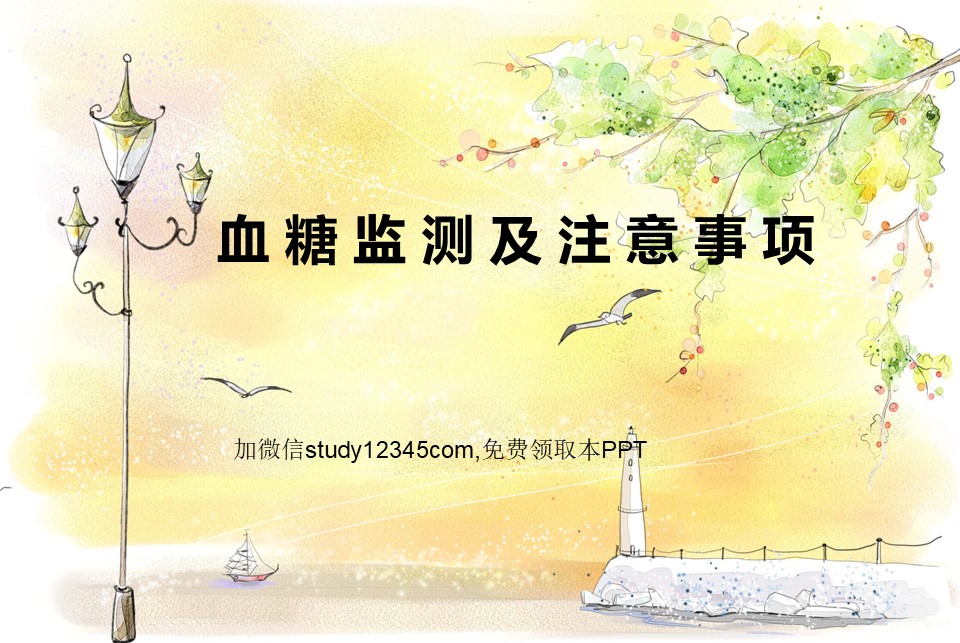 血糖监测及注意事项PPT
