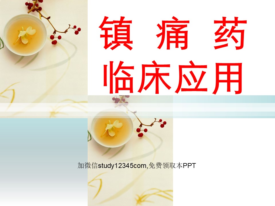 镇痛药临床应用PPT