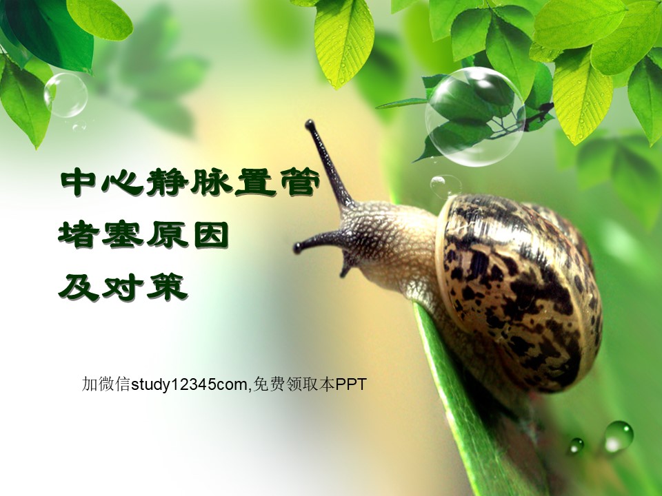 中心静脉置管堵塞原因及对策PPT