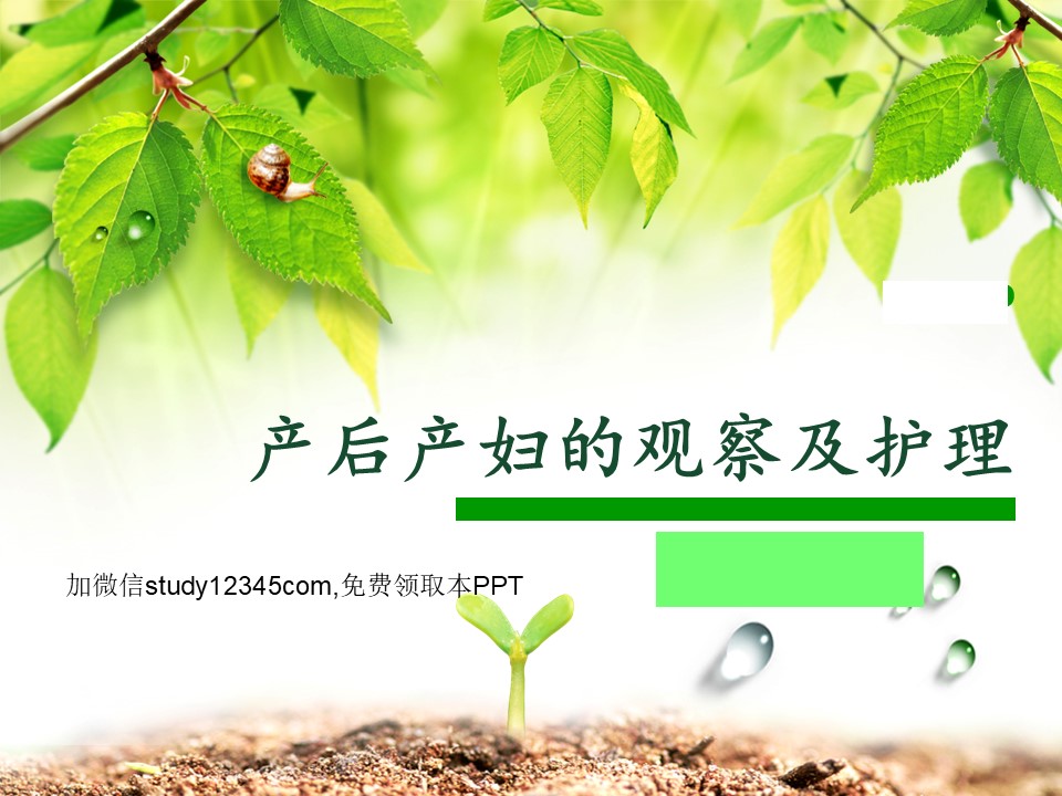 产后产妇的观察及护理PPT