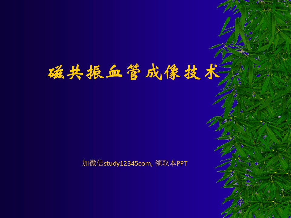 磁共振血管成像技术PPT