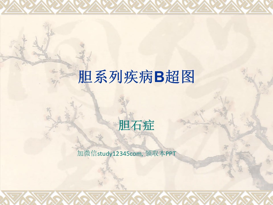 胆系列疾病B超图PPT