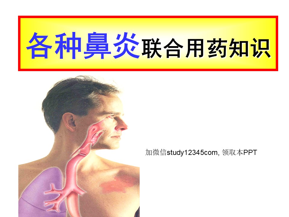 各种鼻炎联合用药知识PPT