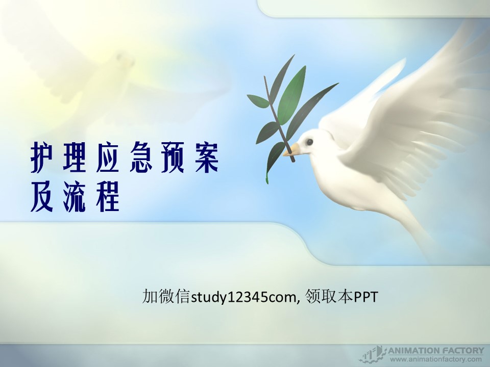 护理应急预案及流程PPT