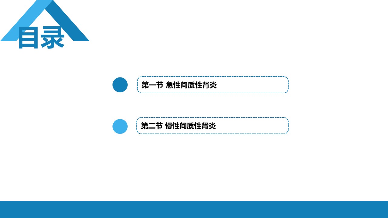 间质性肾炎，泌尿系统疾病PPT
