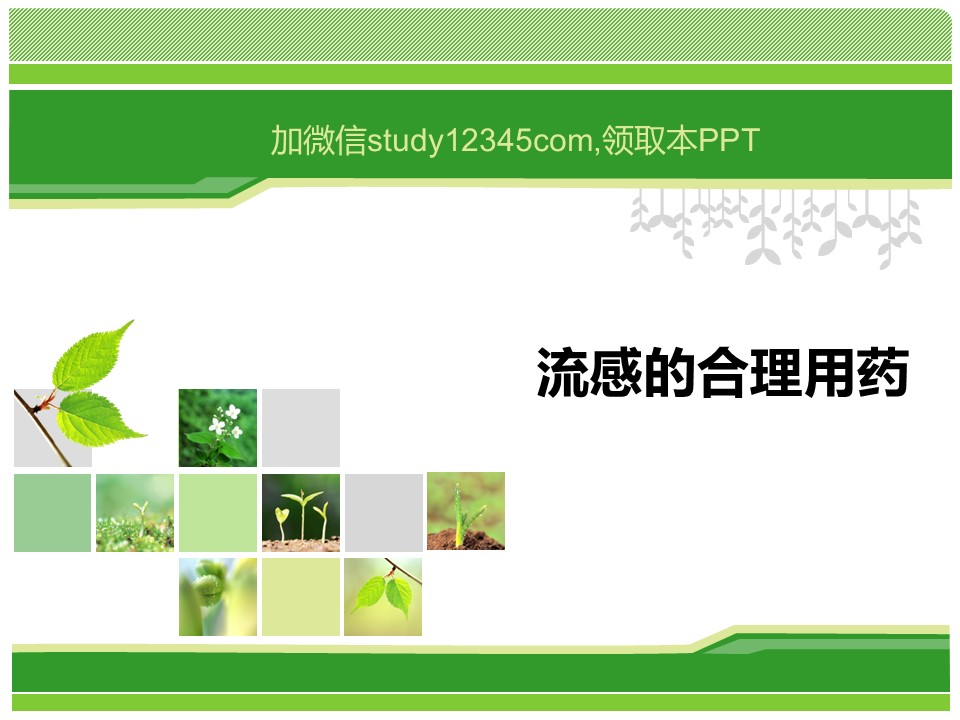 流感的合理用药PPT