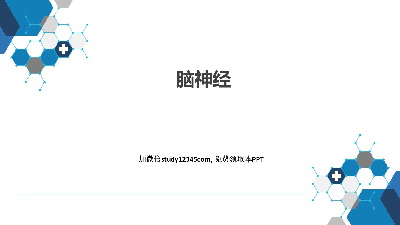脑神经和周围神经PPT