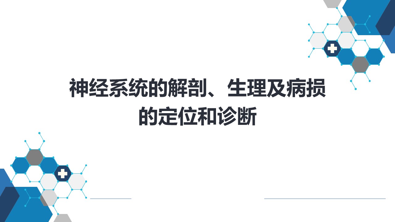 神经系统的解剖、生理及病损的定位诊断（2）