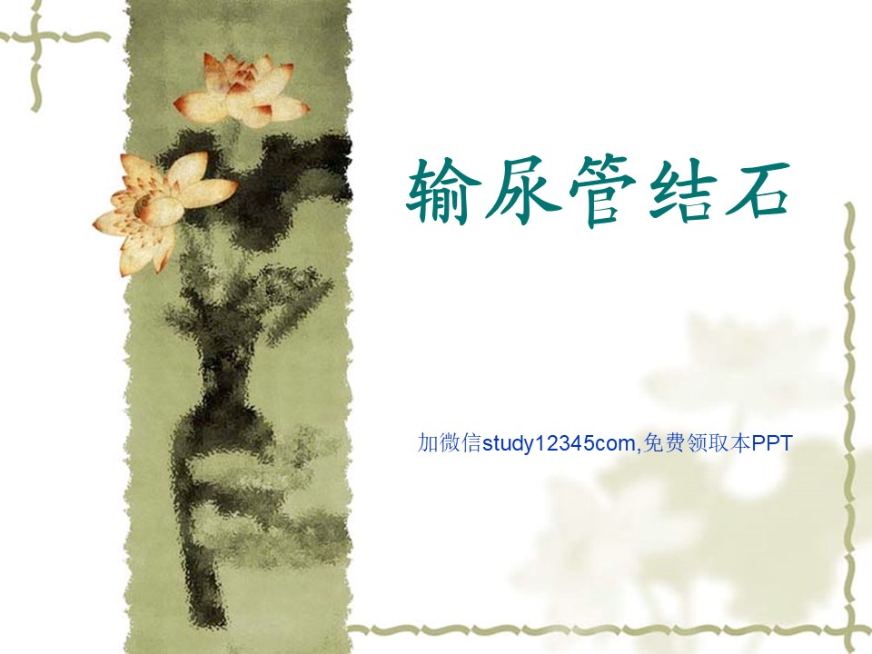 输尿管结石PPT