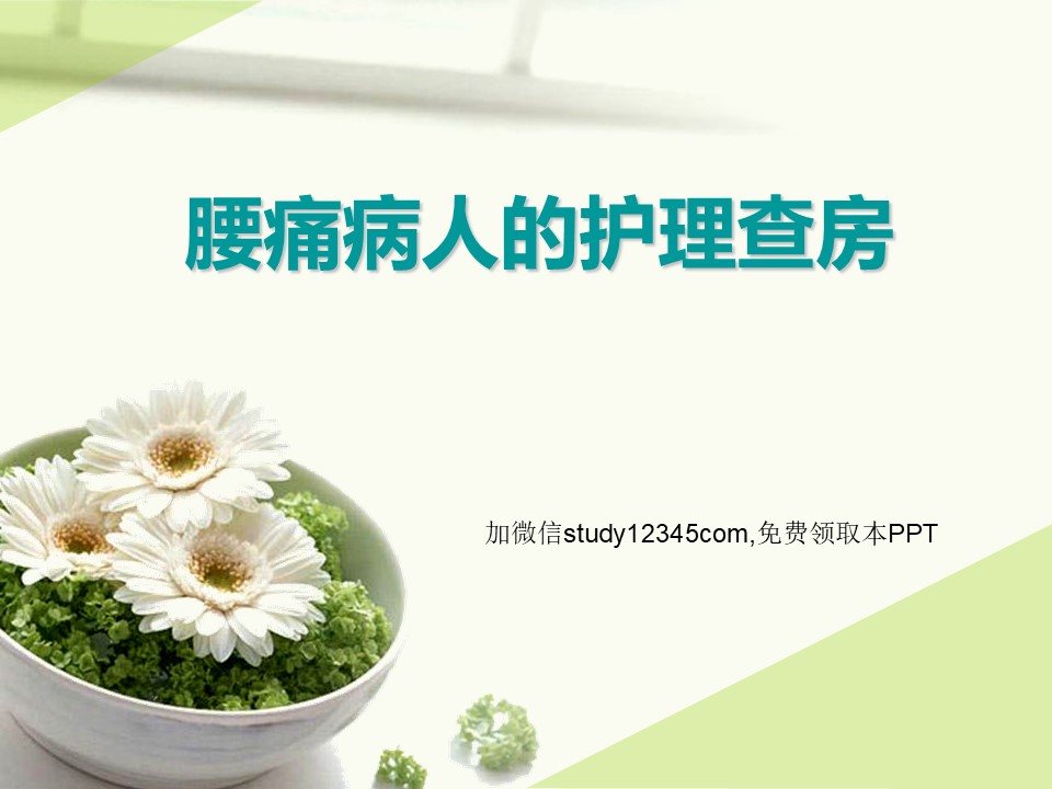 腰痛病人的护理查房PPT