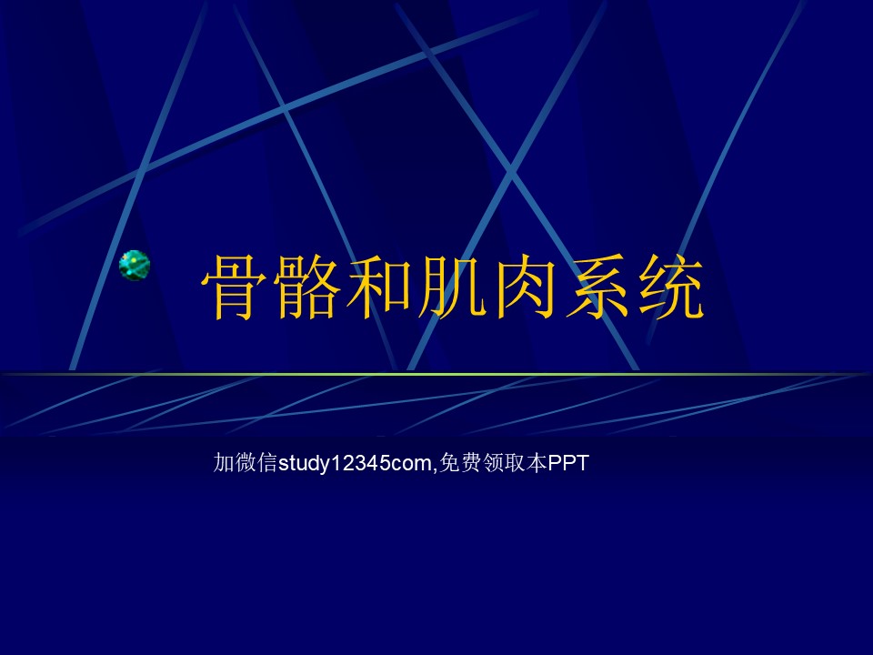MRI骨骼和肌肉系统PPT