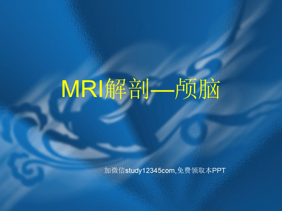 MRI解剖—颅脑