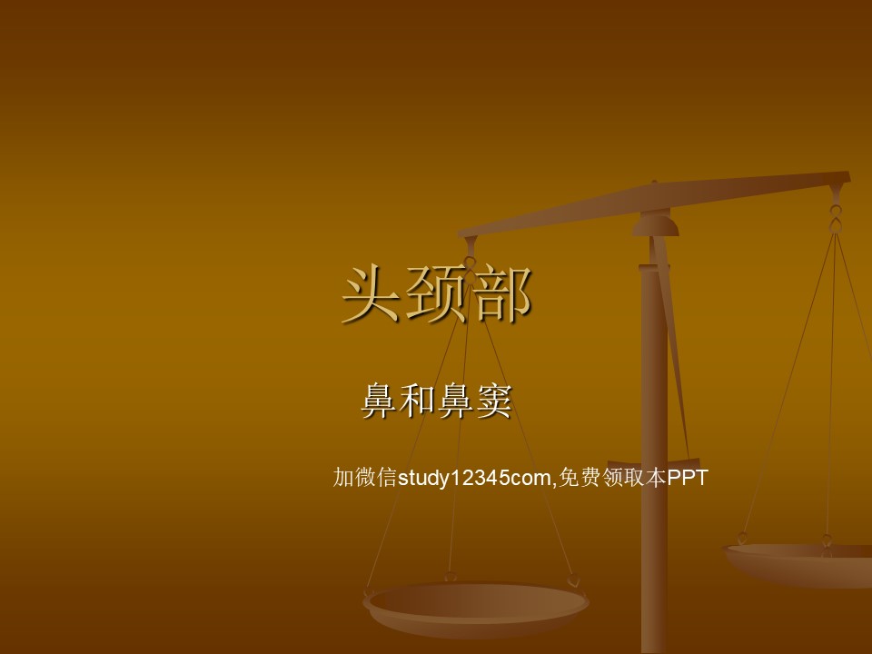 鼻和鼻窦PPT