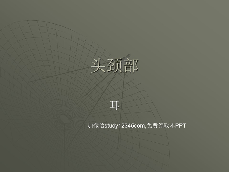 耳部PPT