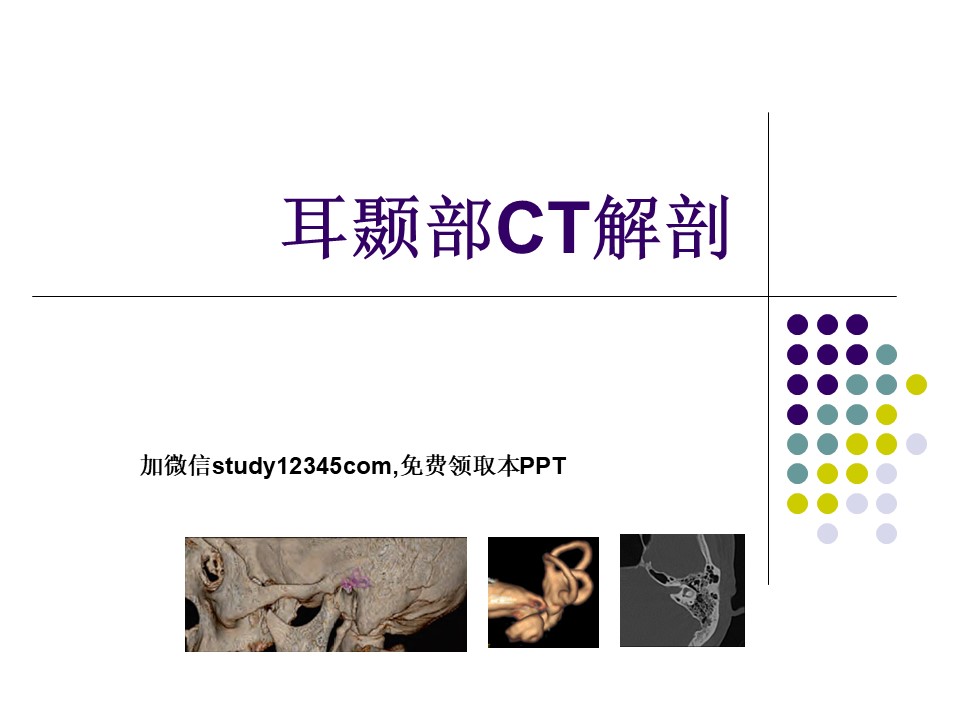 耳颞部影像解剖