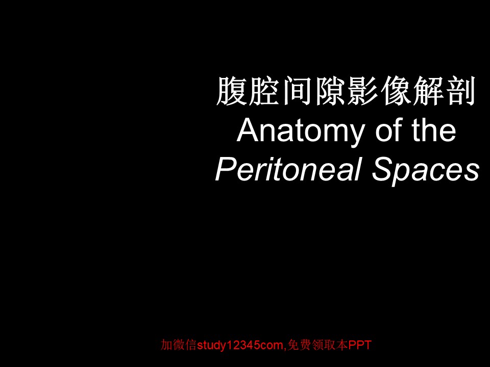 腹腔间隙影像解剖PPT