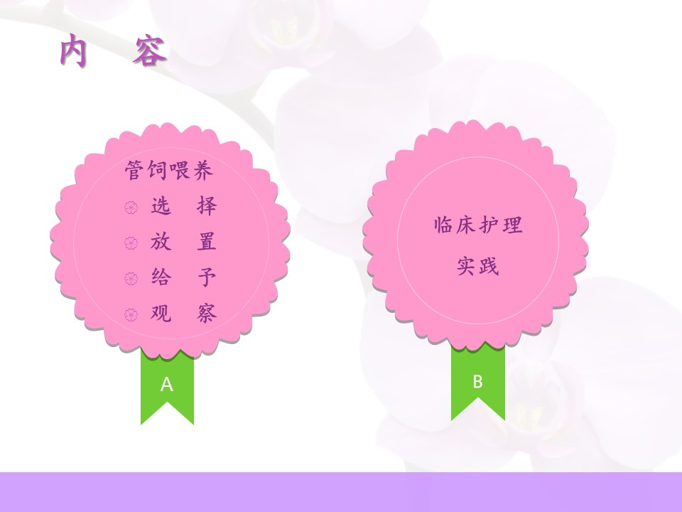 空肠喂养置管及维护PPT