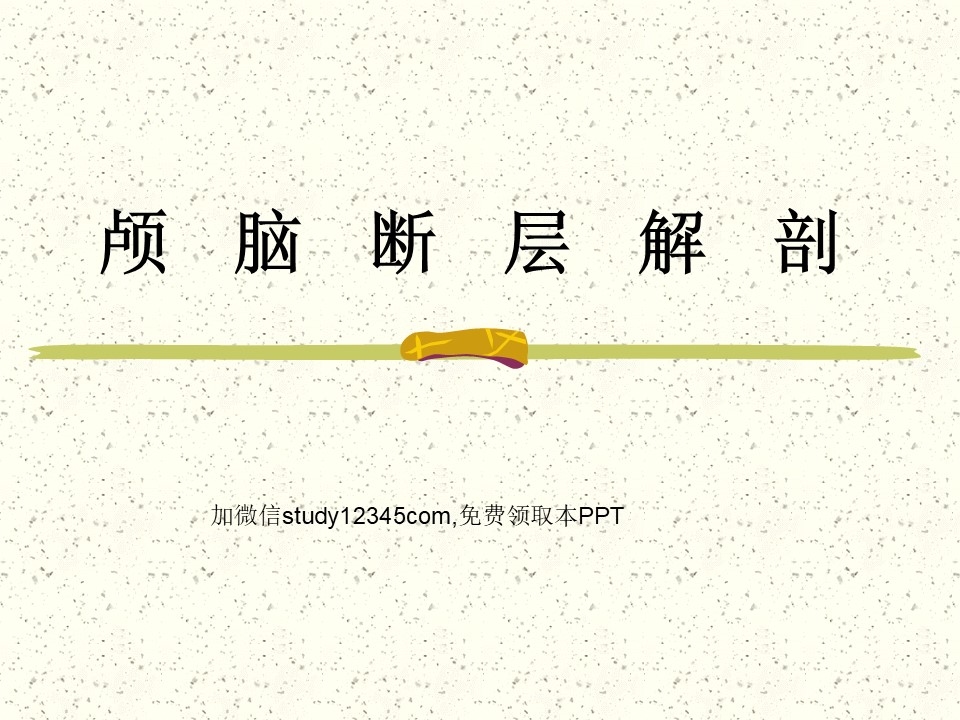 颅脑断层解剖PPT