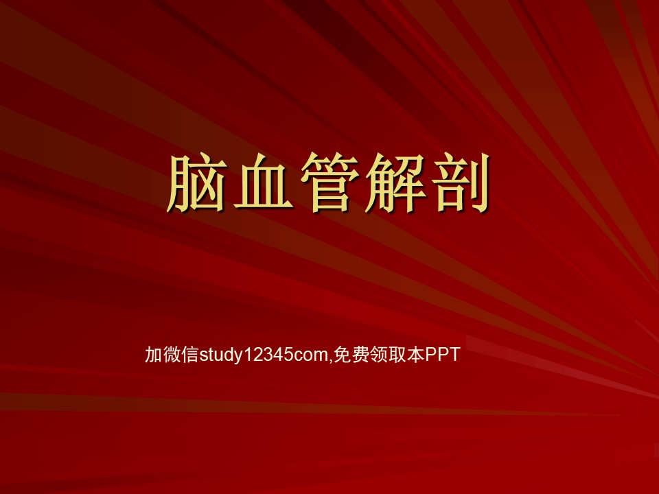脑血管解剖(脑动脉系)PPT