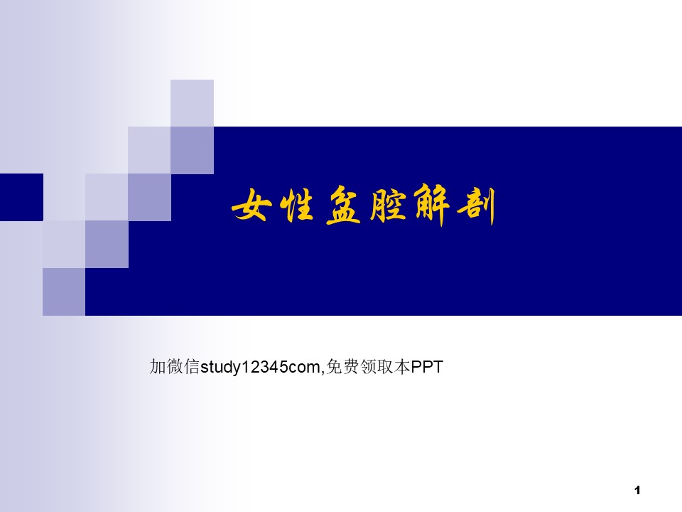 女性盆腔解剖PPT