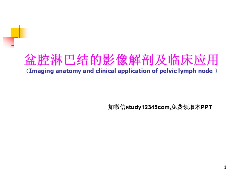 盆腔淋巴结的影像解剖及临床应用PPT