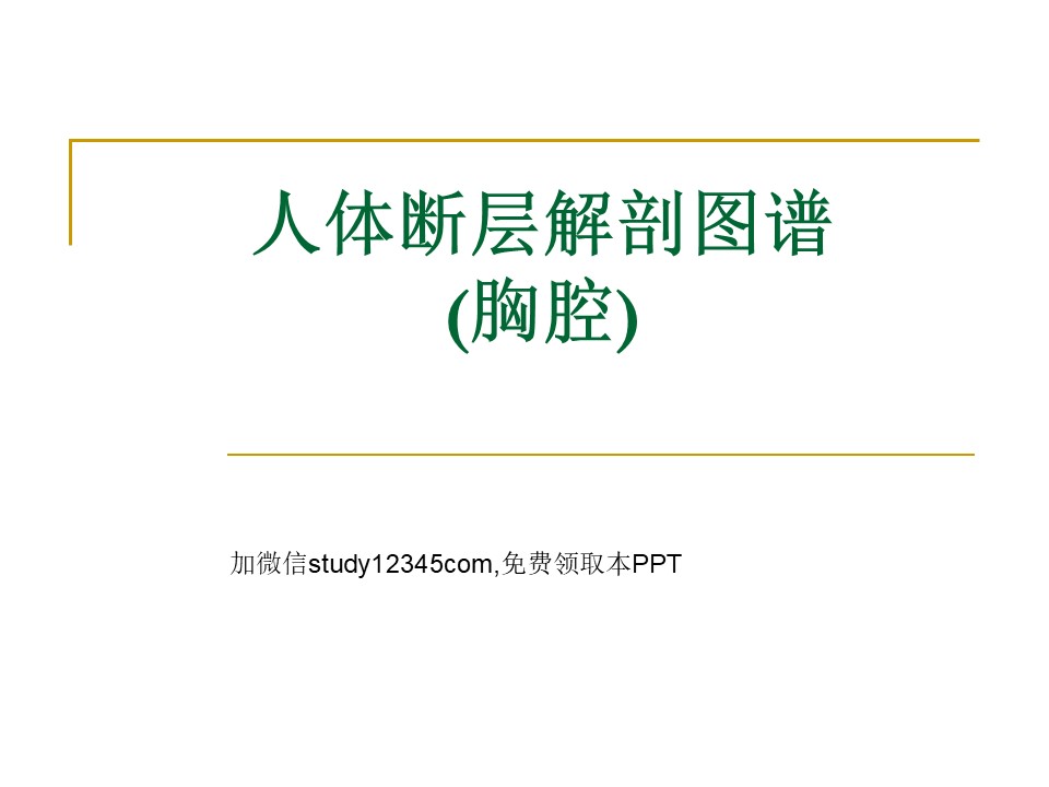 人体断层解剖图谱(胸腔)PPT