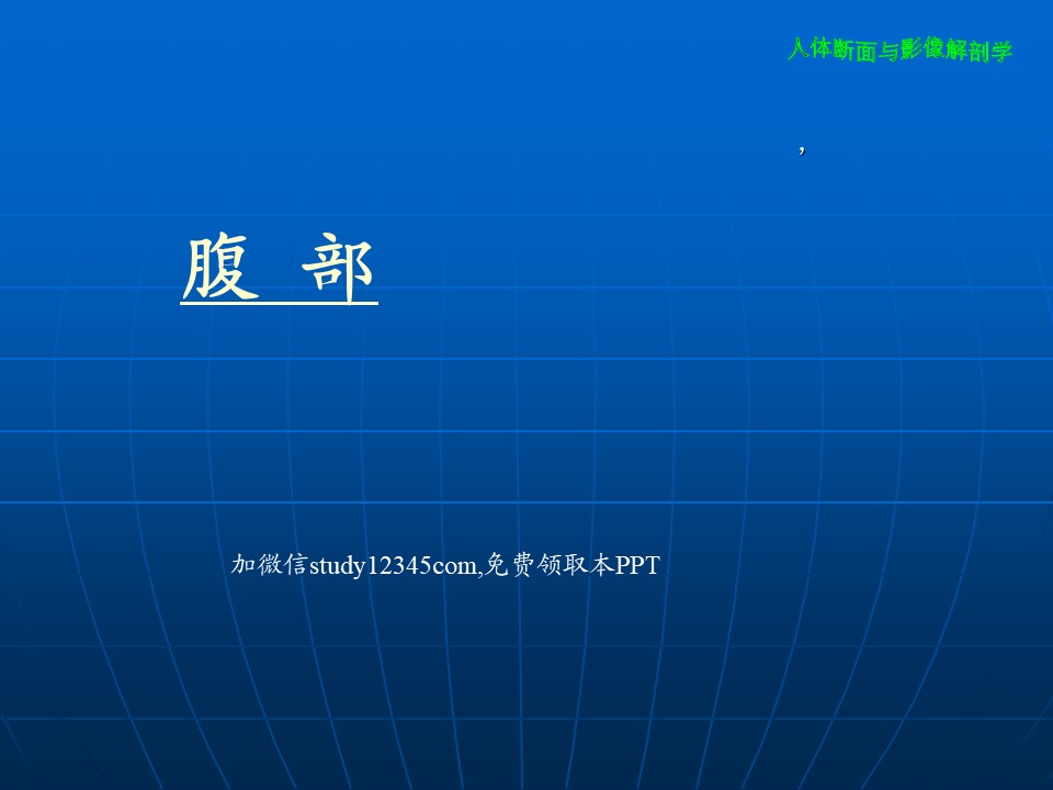 人体断面与影像解剖学腹部PPT