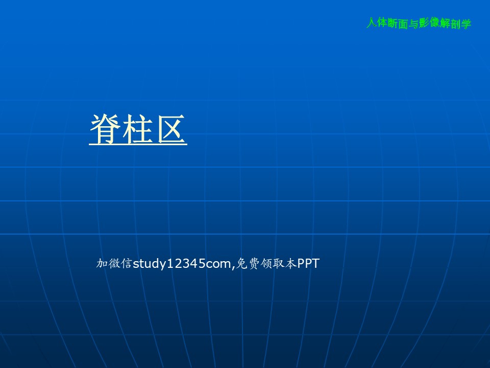 人体断面与影像解剖学脊柱区PPT