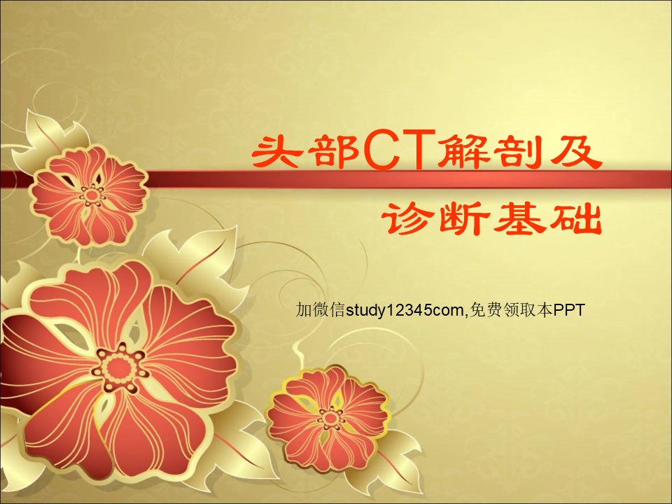 头部CT解剖及诊断基础