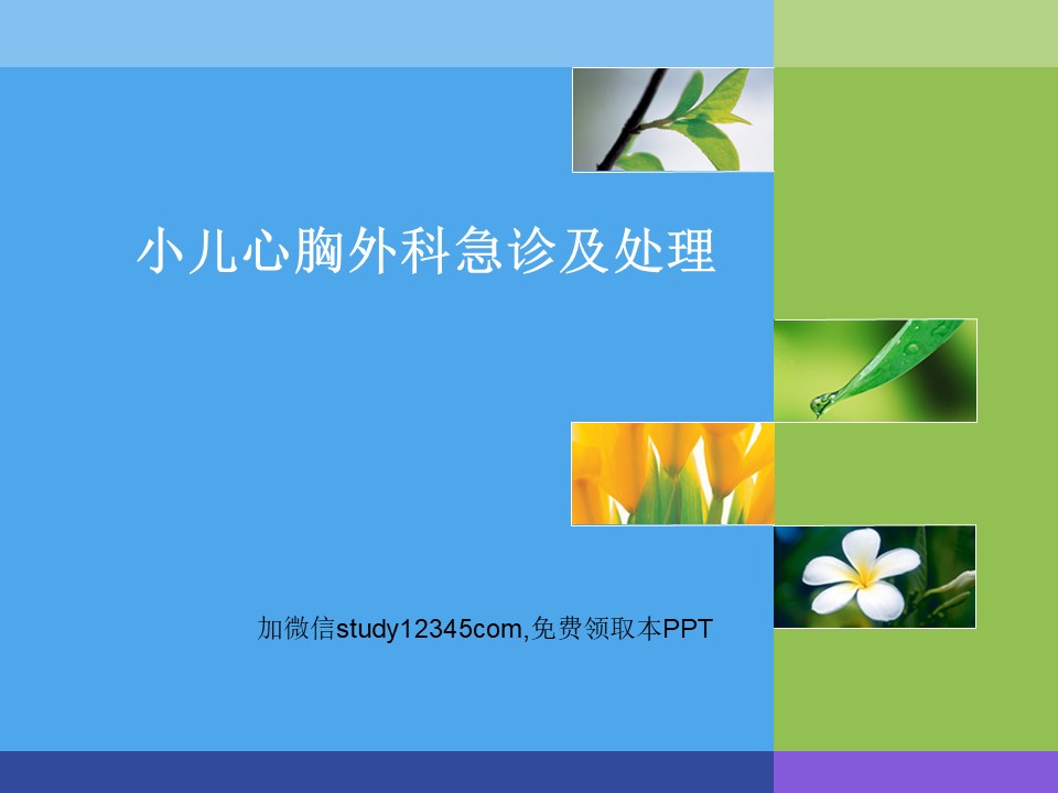 小儿心胸外科急诊处理PPT