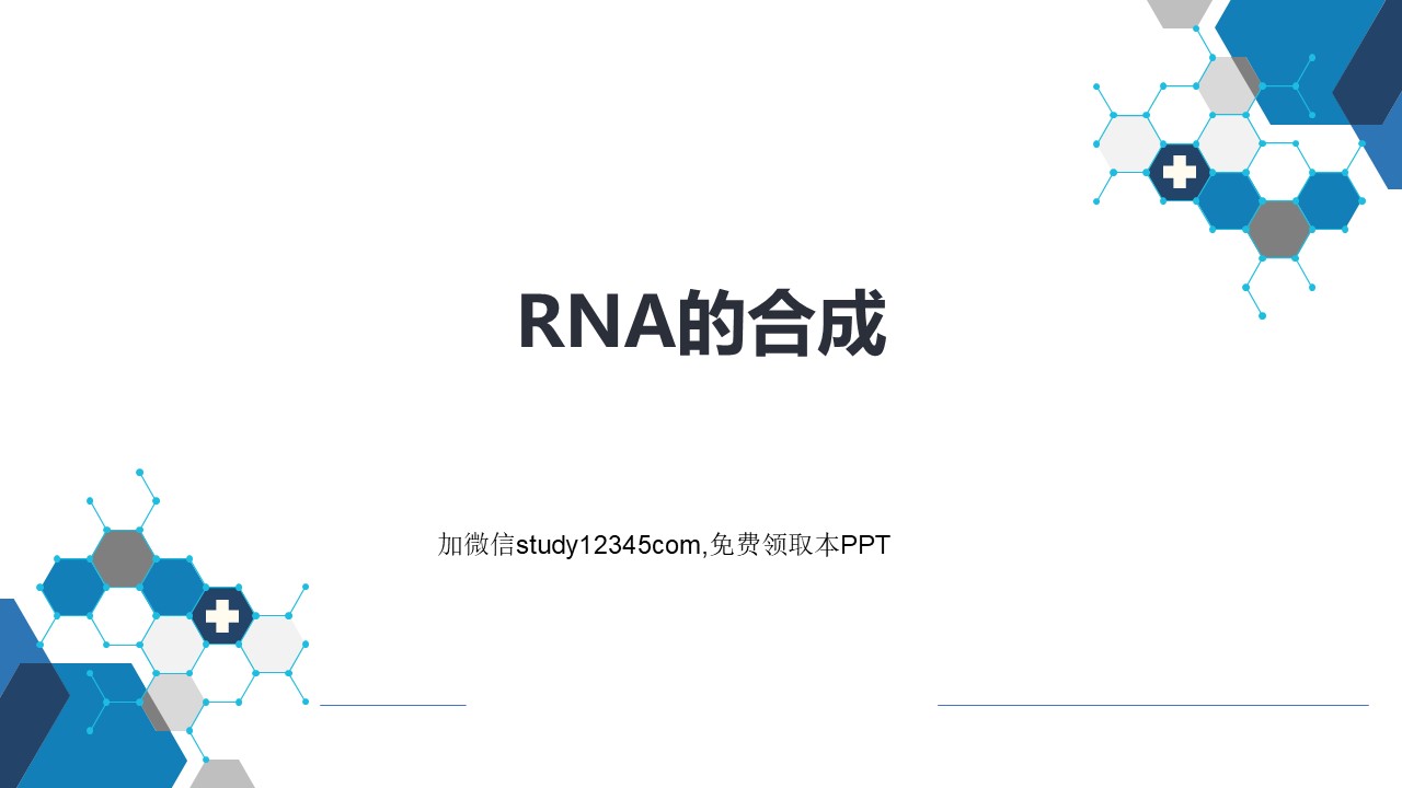 RNA的合成
