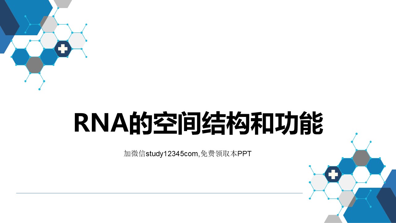 RNA的空间结构和功能PPT