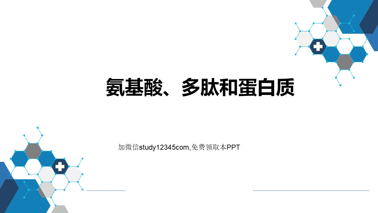 氨基酸多肽和蛋白质PPT