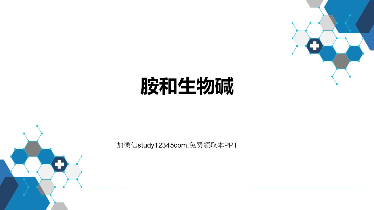 胺和生物碱PPT