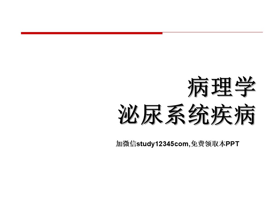 病理学泌尿系统疾病
