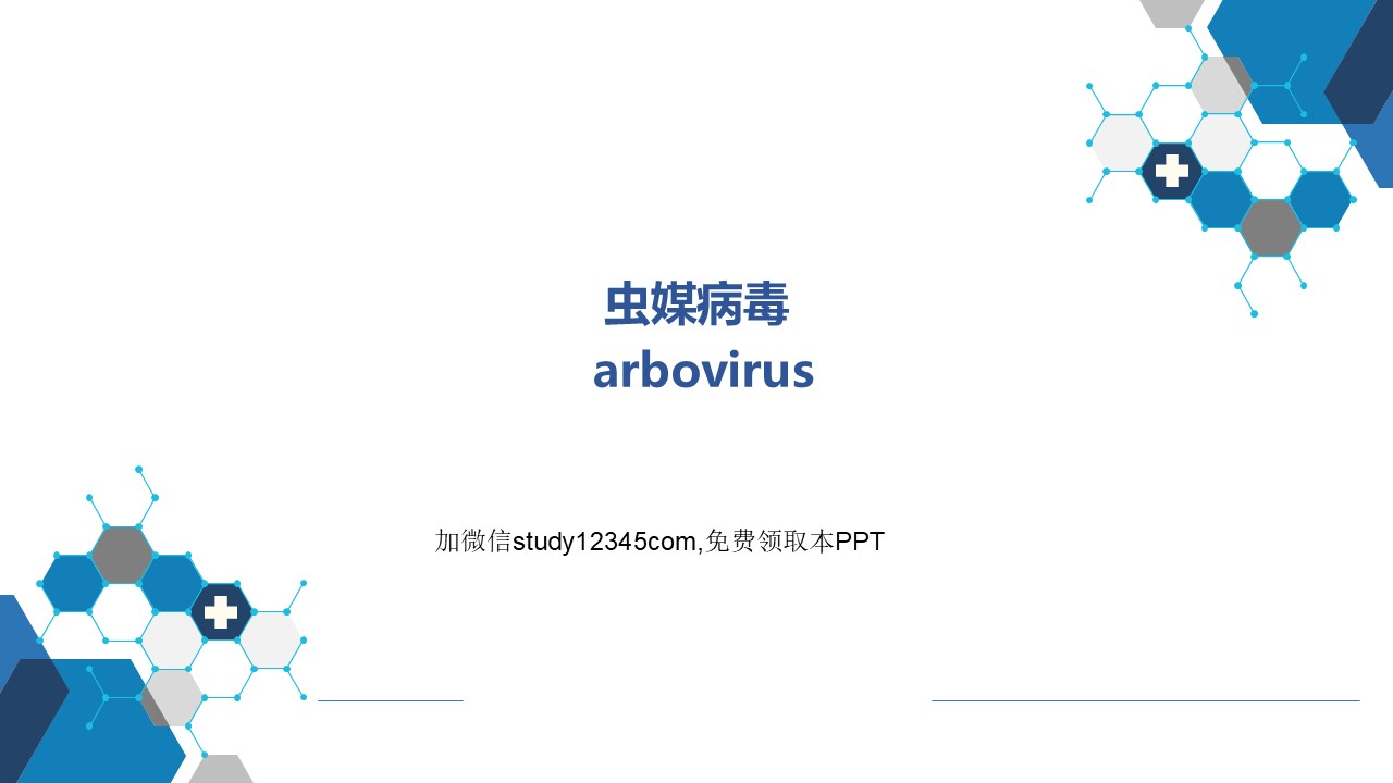 虫媒病毒PPT