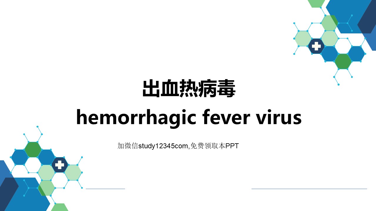 出血热病毒PPT