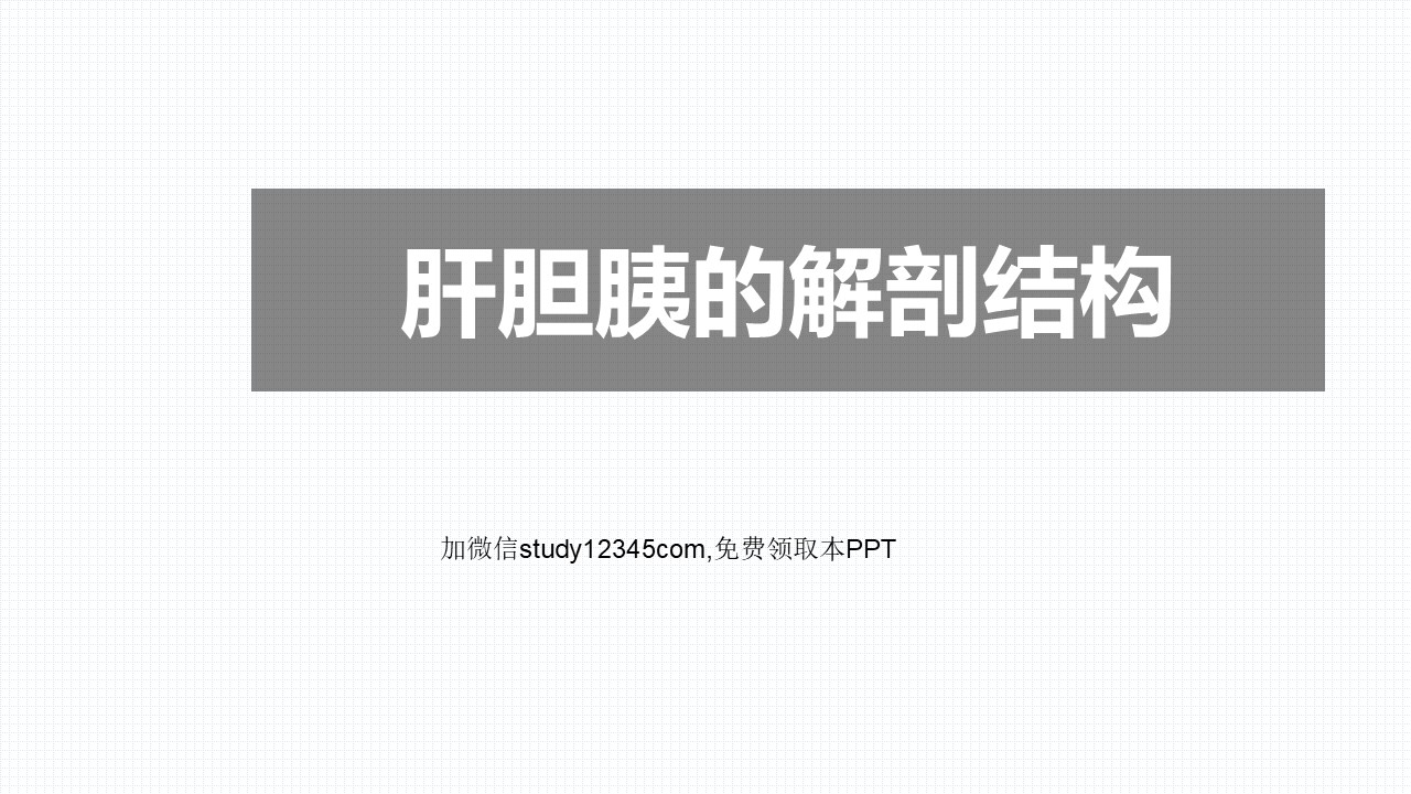 肝胆胰的解剖结构