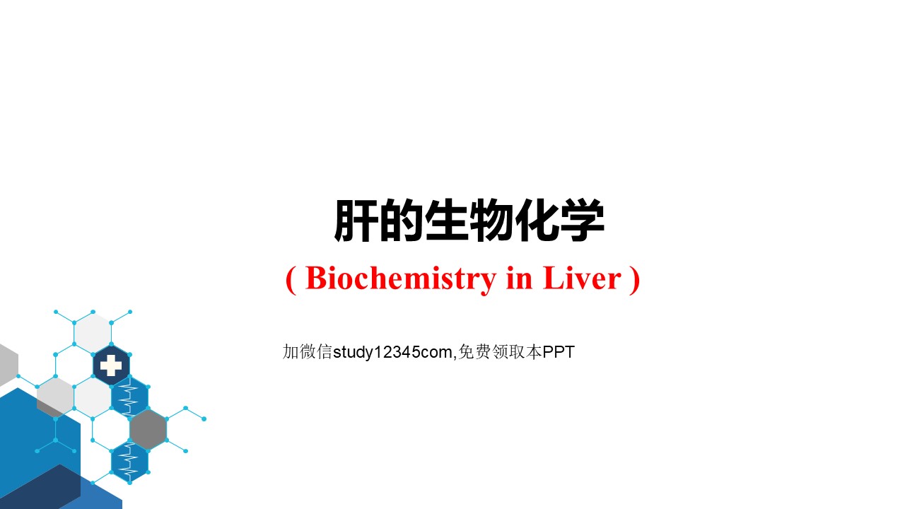 肝的生物化学PPT