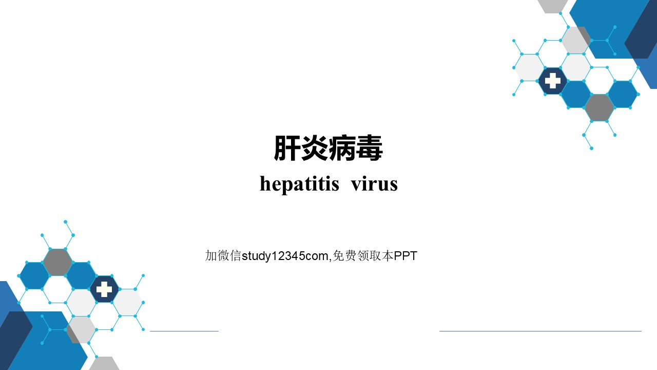 肝炎病毒PPT