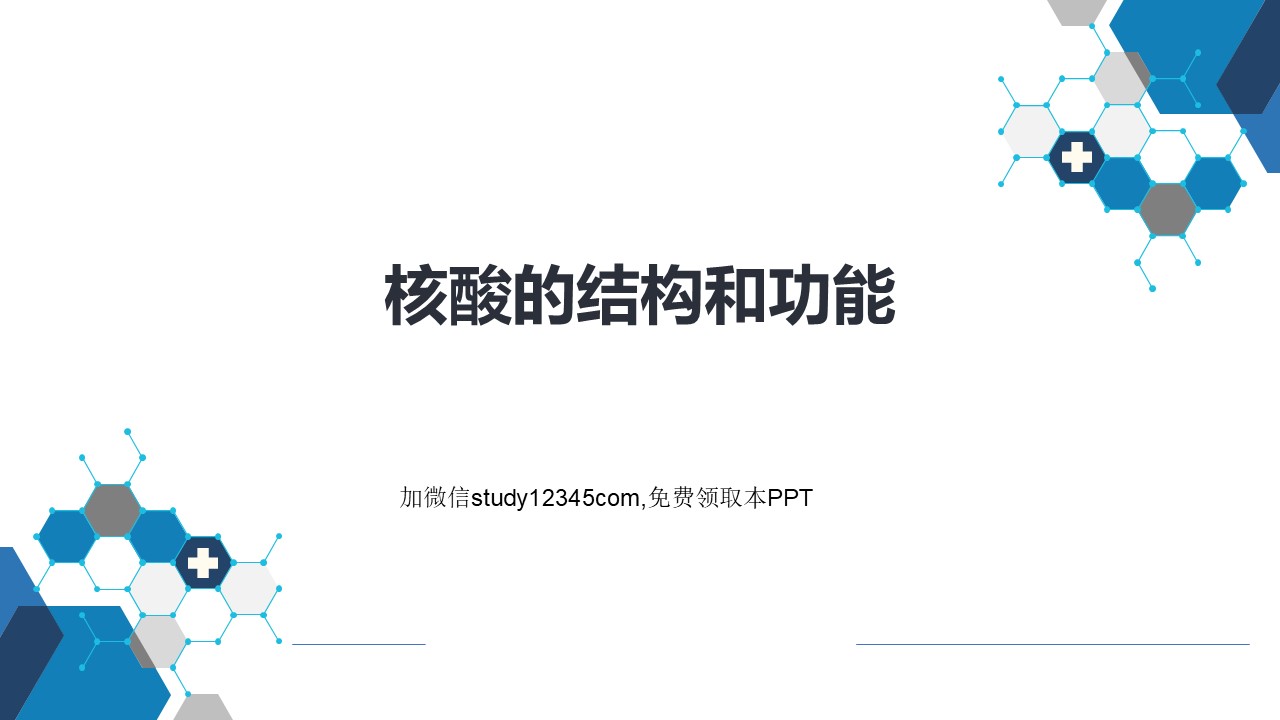 核酸的结构和功能PPT