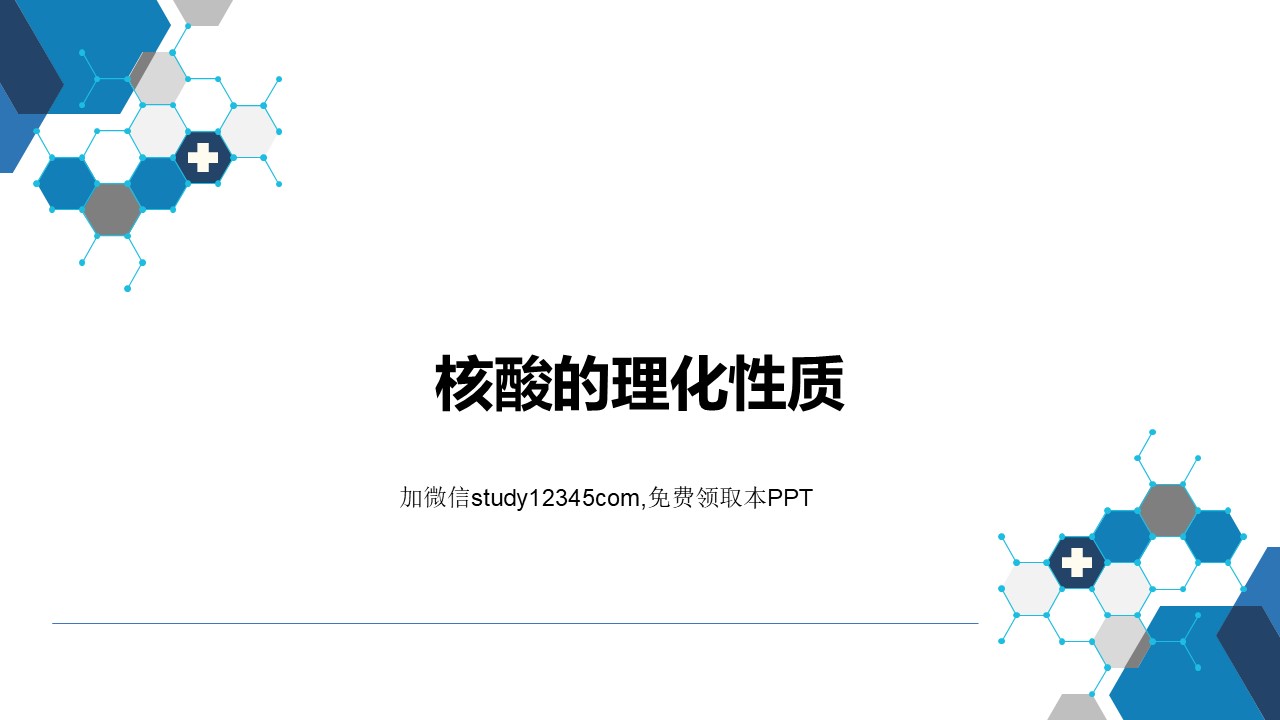 核酸的理化性质PPT