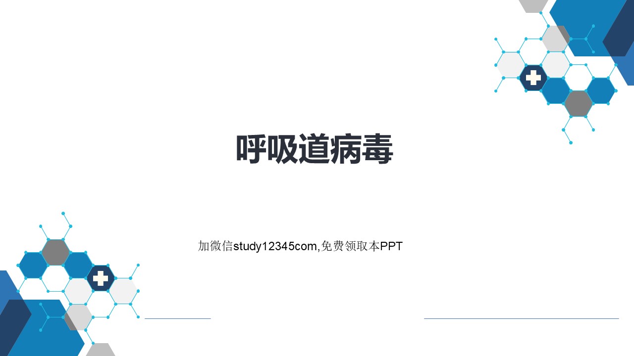 呼吸道病毒PPT