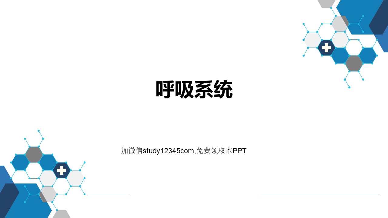 呼吸系统PPT呼吸系统PPT